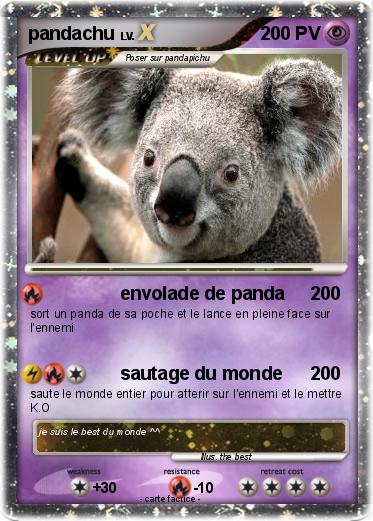 Pokemon pandachu