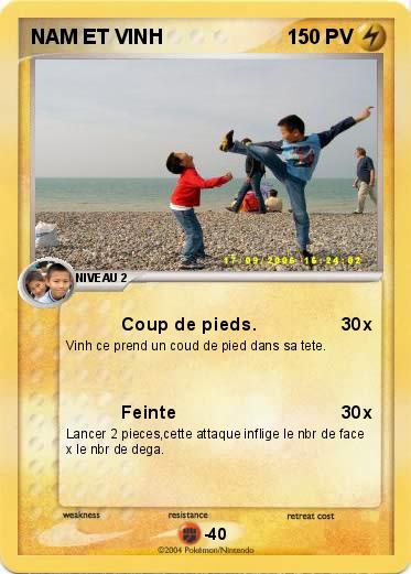 Pokemon NAM ET VINH