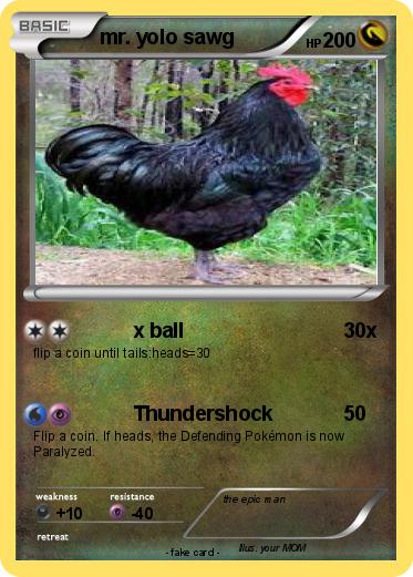 Pokemon mr. yolo sawg