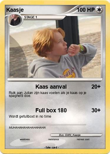 Pokemon Kaasje