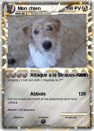 Pokemon Mon chien