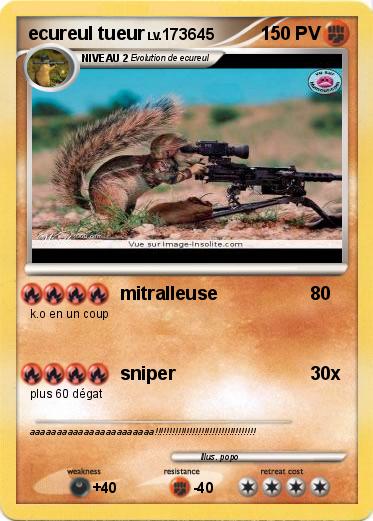 Pokemon ecureul tueur