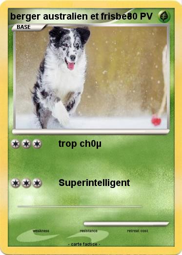 Pokemon berger australien et frisbee