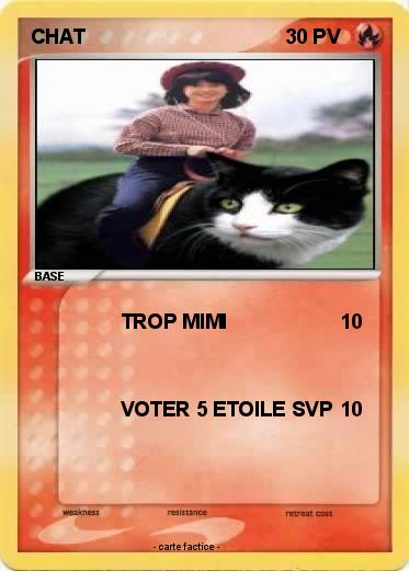 Pokemon CHAT