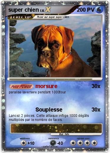 Pokemon super chien