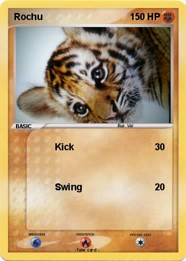 Pokemon Rochu