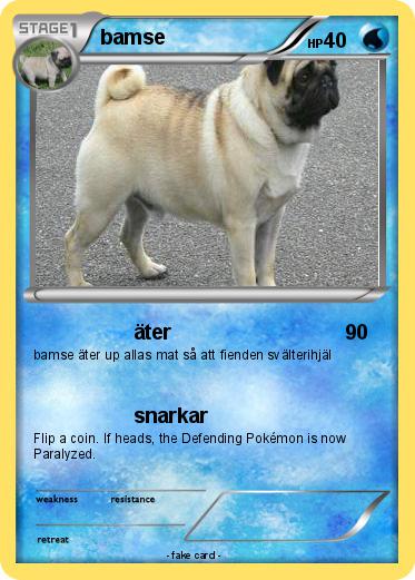 Pokemon bamse