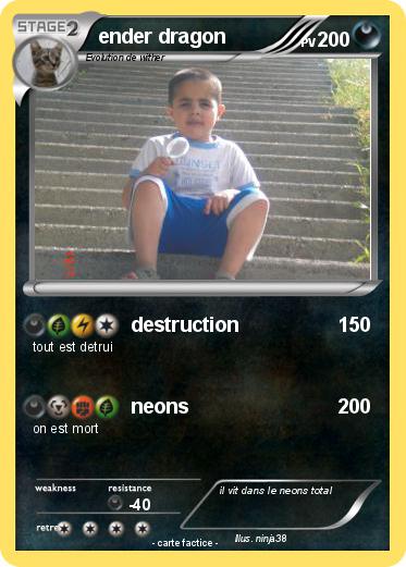 Pokemon ender dragon