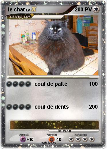 Pokemon le chat