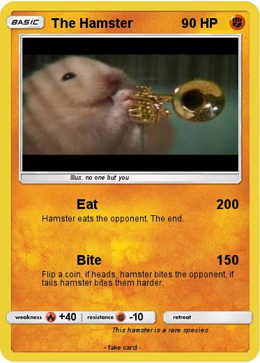 Pokemon The Hamster