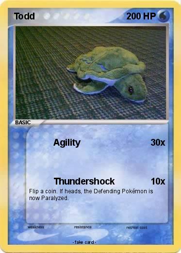 Pokemon Todd