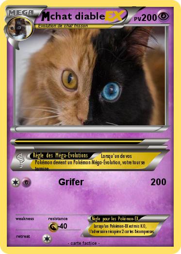 Pokemon chat diable