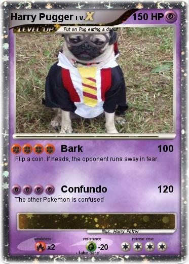 Pokemon Harry Pugger