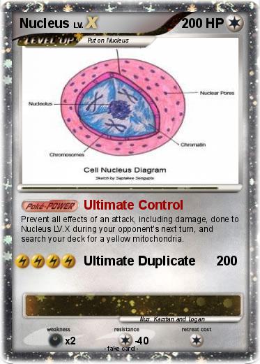 Pokemon Nucleus