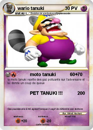 Pokemon wario tanuki