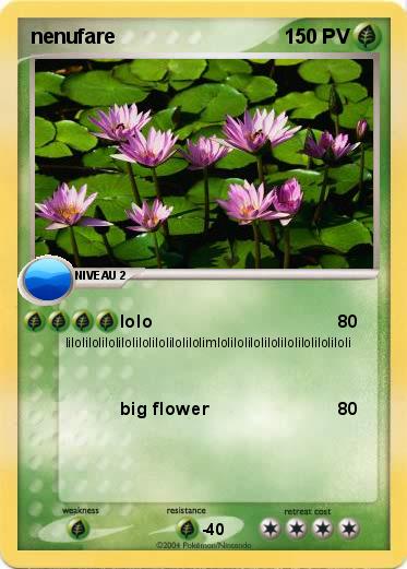 Pokemon nenufare