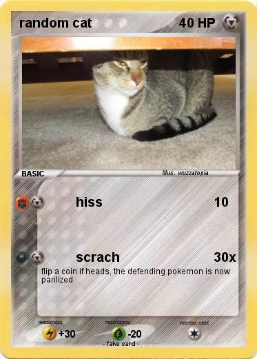 Pokemon random cat