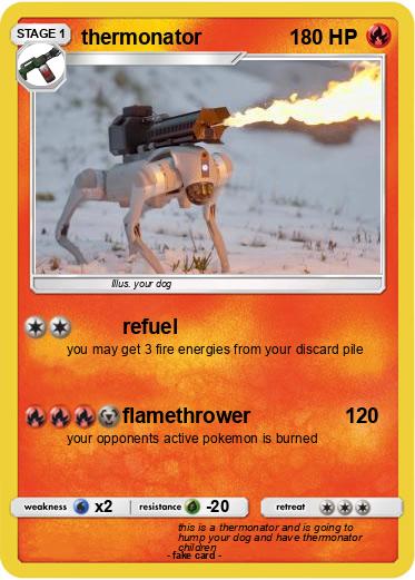 Pokemon thermonator