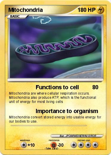 Pokemon Mitochondria
