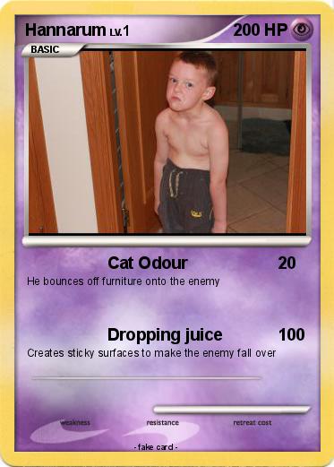 Pokemon Hannarum