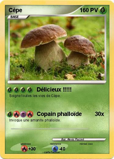 Pokemon Cèpe