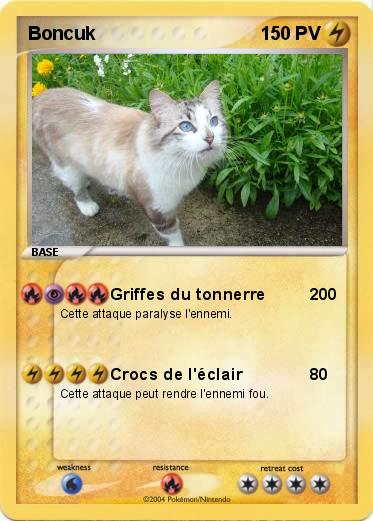 Pokemon Boncuk