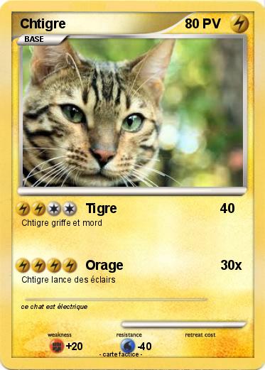 Pokemon Chtigre