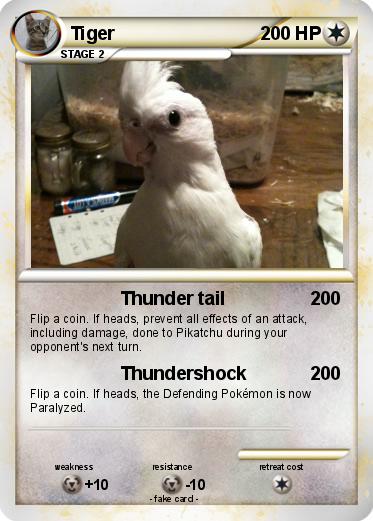 Pokemon Tiger