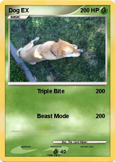 Pokemon Dog EX