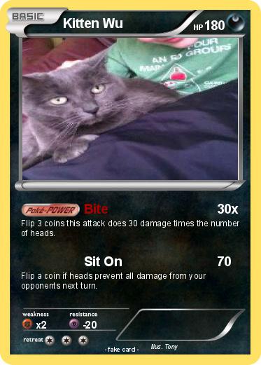 Pokemon Kitten Wu
