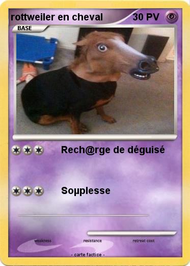 Pokemon rottweiler en cheval