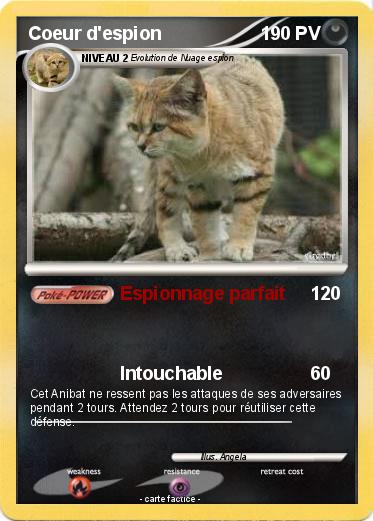 Pokemon Coeur d'espion