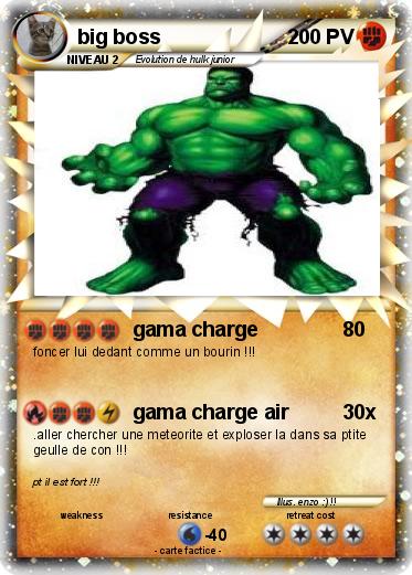 Pokemon big boss