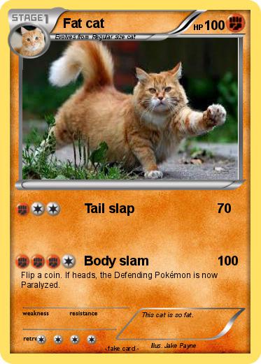 Pokemon Fat cat