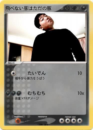 Pokemon 飛べない豚はただの豚