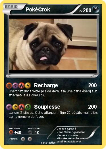 Pokemon PokéCrok