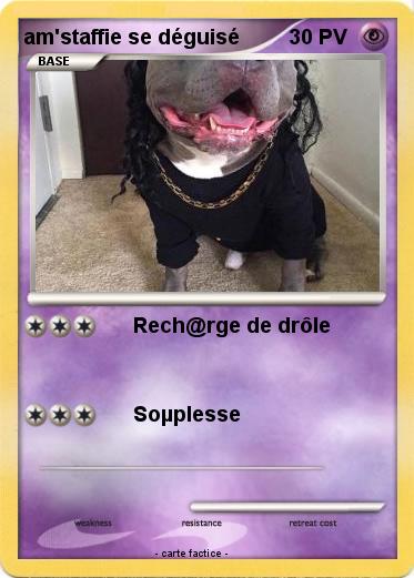 Pokemon am'staffie se déguisé