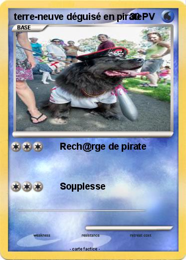 Pokemon terre-neuve déguisé en pirate