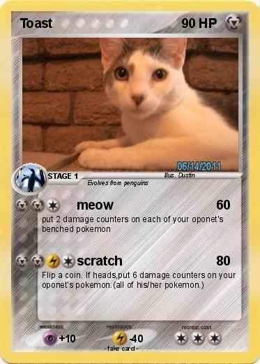 Pokemon Toast