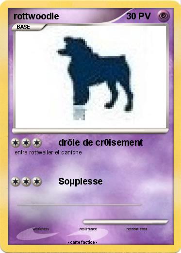Pokemon rottwoodle