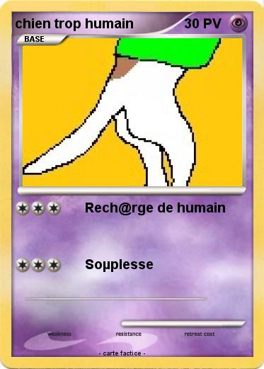Pokemon chien trop humain