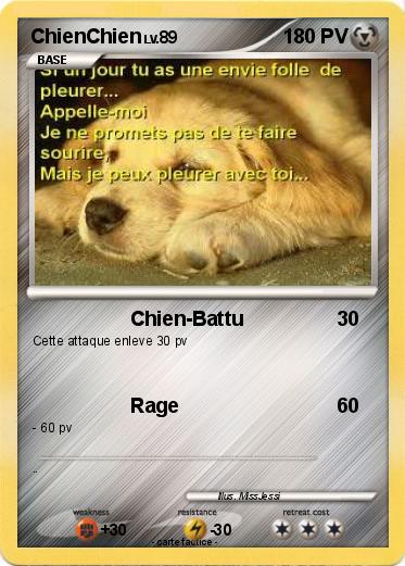 Pokemon ChienChien