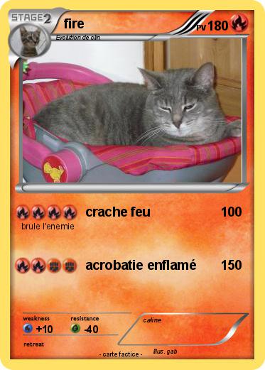 Pokemon fire