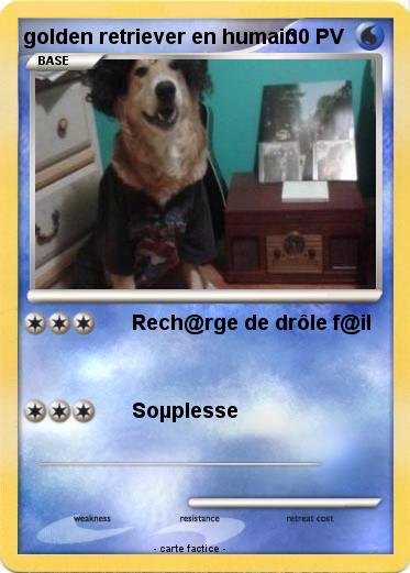 Pokemon golden retriever en humain
