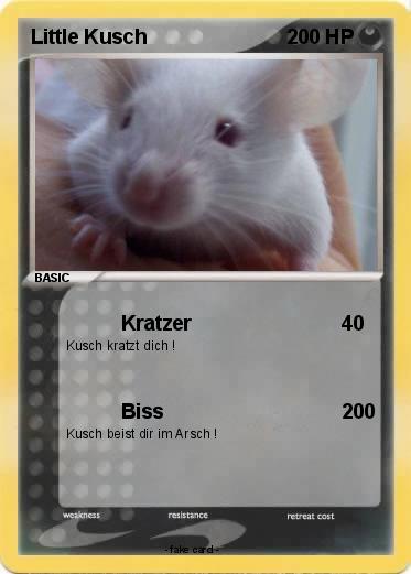 Pokemon Little Kusch