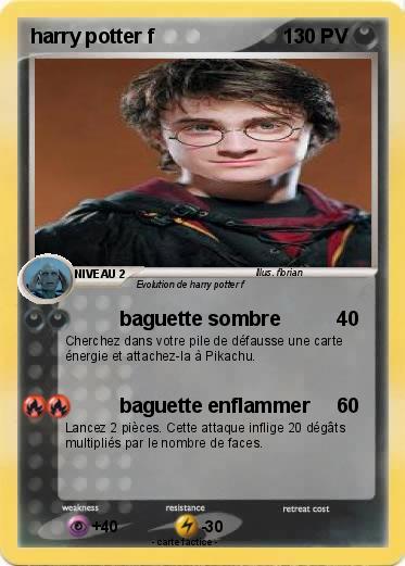 Pokemon harry potter f