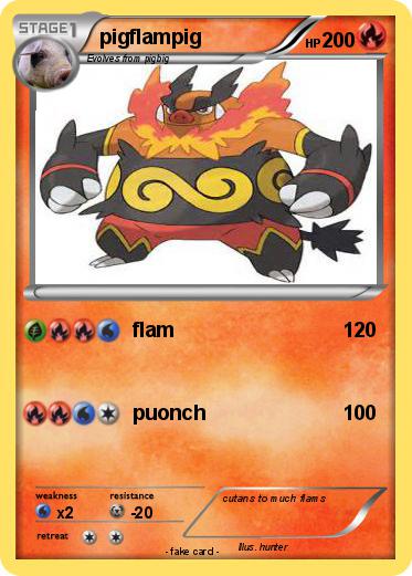 Pokemon pigflampig