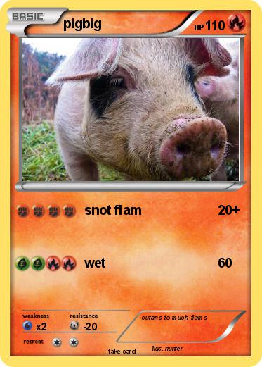 Pokemon pigbig