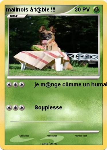 Pokemon malinois à t@ble !!!