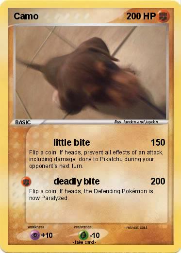 Pokemon Camo